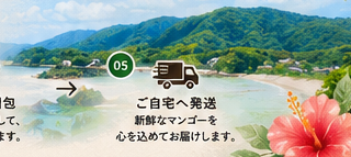 奄美の自然とお届けのイメージ